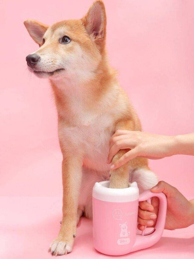 Dog Paw Washer Cup – Go Trendy USA
