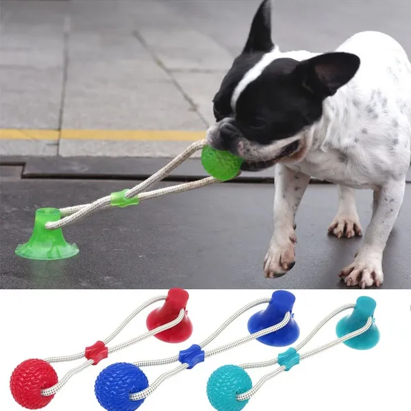 Dog Pull Toy Suction Cup - Go Trendy USA