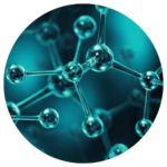 Sight Care - Go Trendy USA