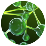 Sight Care - Go Trendy USA