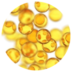 Sight Care - Go Trendy USA