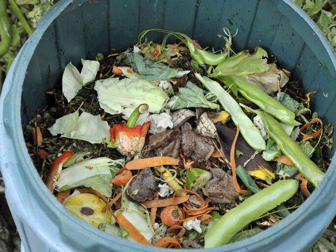 composting at home
compost bin, compost pile location, composting materials, green materials