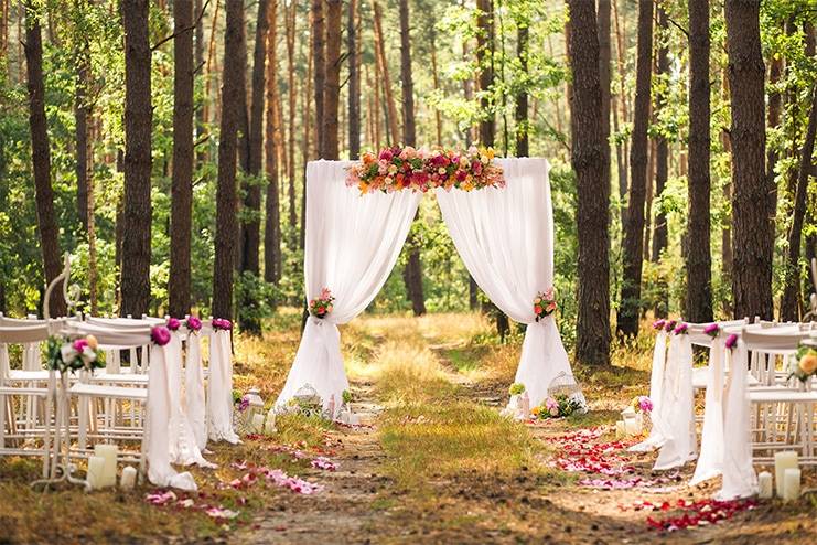 Backyard Wedding Ideas, Outdoor wedding decor, Home wedding planning, Backyard reception tips, Garden wedding setup