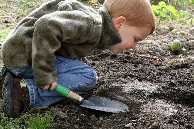 composting at home
compost bin, compost pile location, composting materials, green materials