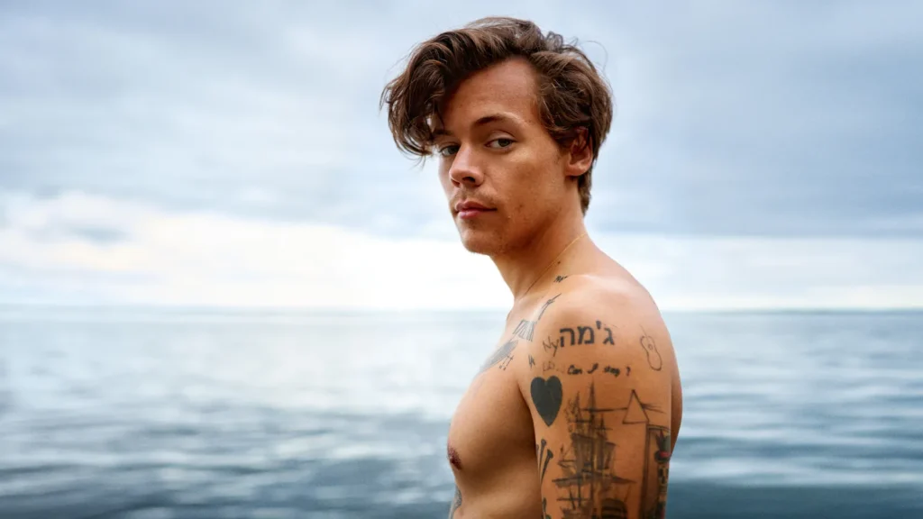 Harry Styles net worth, Harry Styles solo career, Harry Styles fashion icon, Harry Styles acting career, Harry Styles real estate