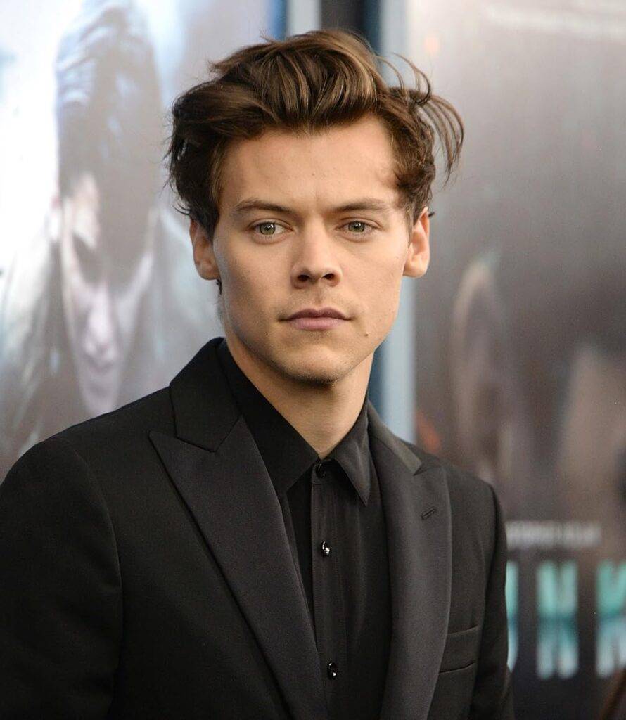 Harry Styles net worth, Harry Styles solo career, Harry Styles fashion icon, Harry Styles acting career, Harry Styles real estate